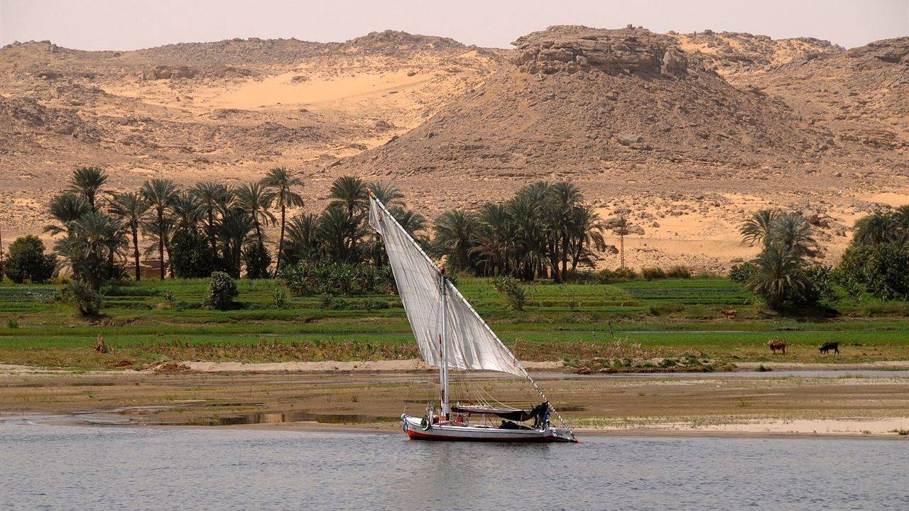 السحب والتحقق من الهوية: ما تجهزه قبل أول دفعة